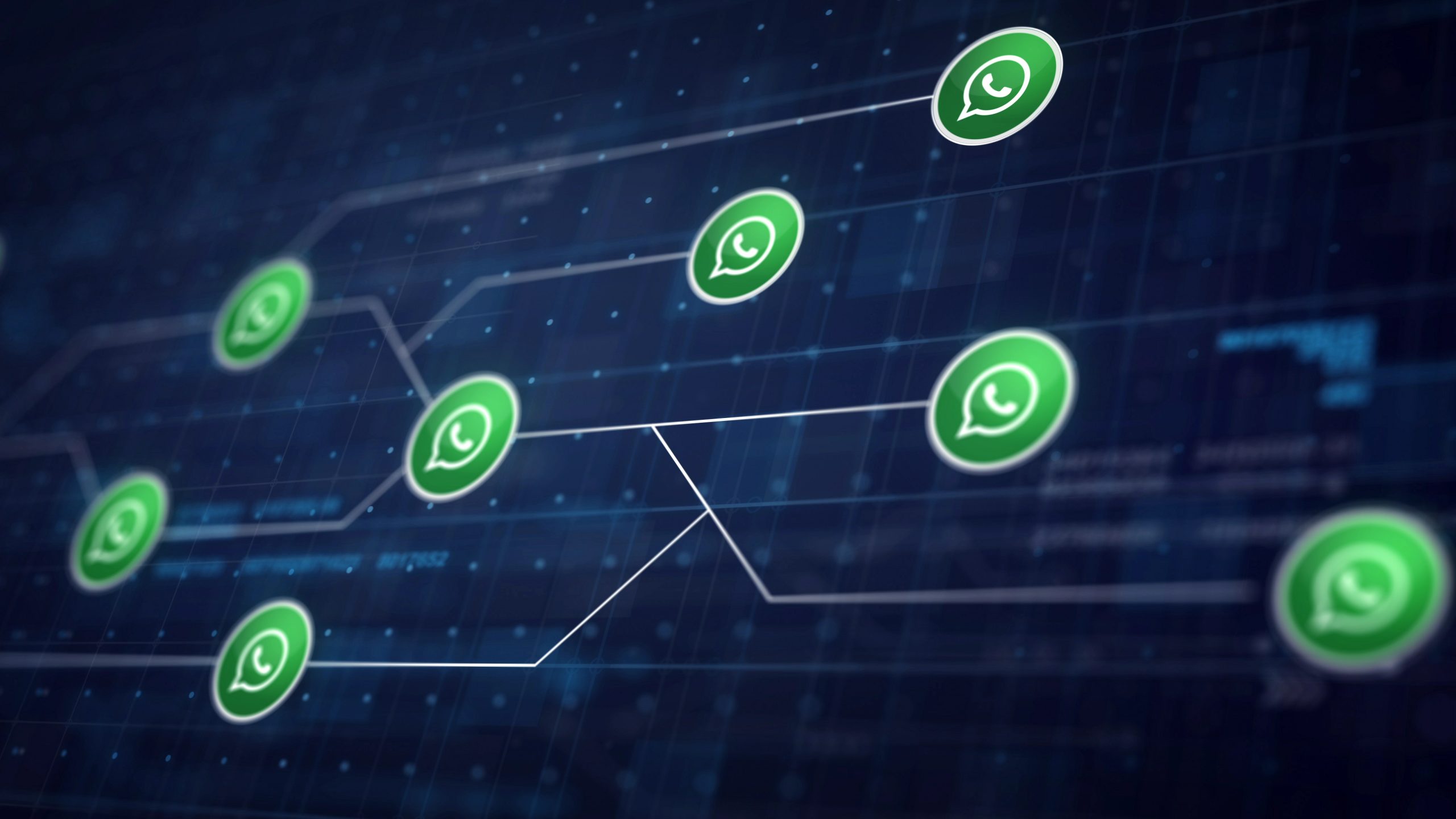 WhatsApp Empresarial WhatsApp Business